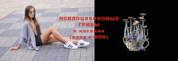 гашиш Новокубанск