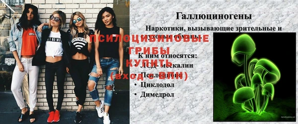 mix Горнозаводск