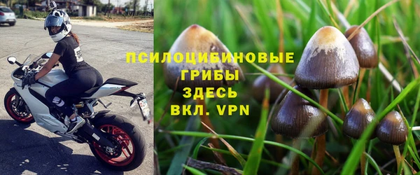 герыч Новозыбков