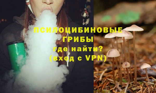 соль курить ск Новодвинск
