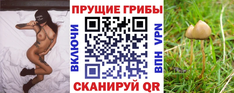 Псилоцибиновые грибы прущие грибы Киселёвск